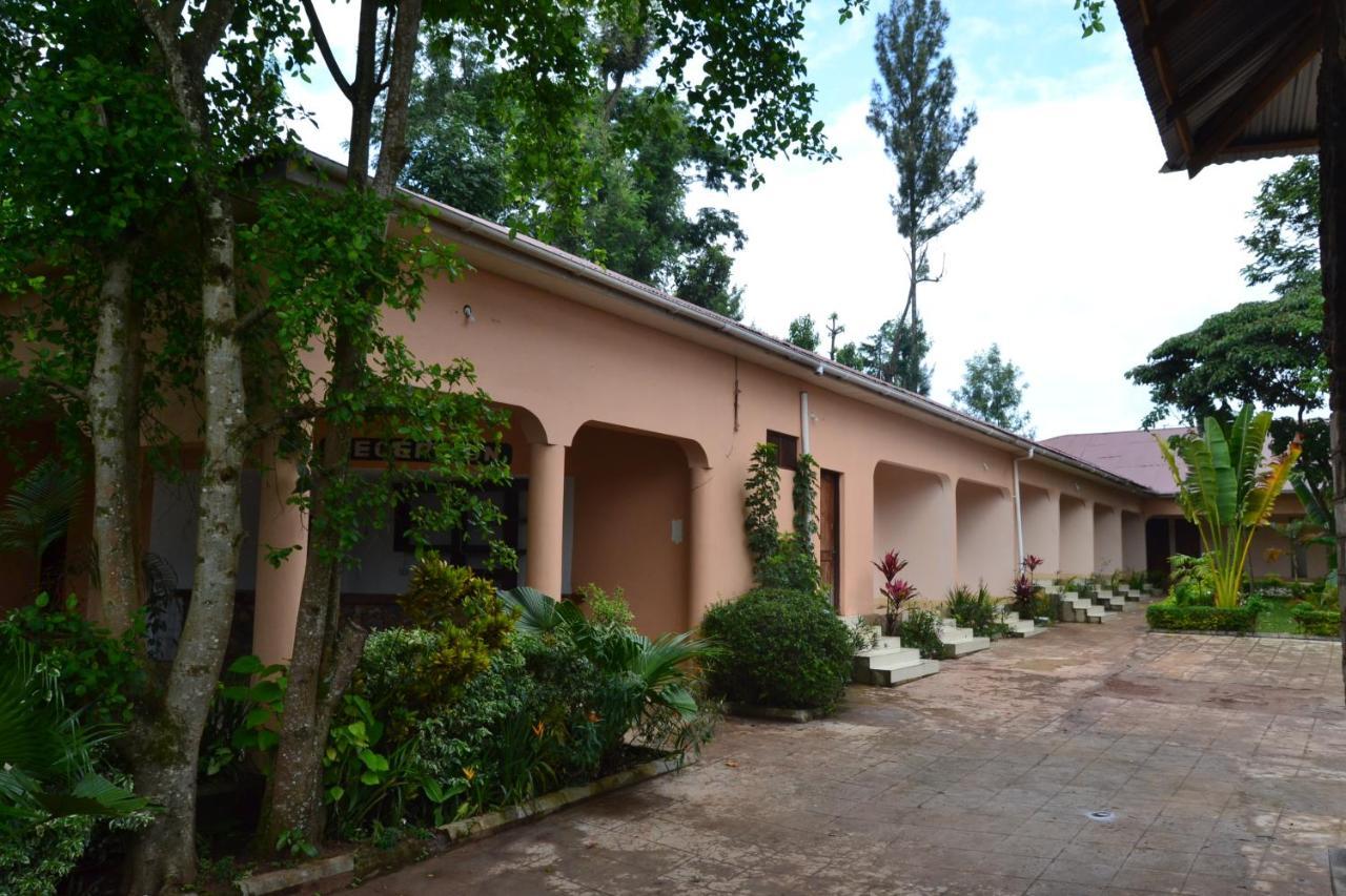 Serene Mountain Lodge Marangu Dış mekan fotoğraf